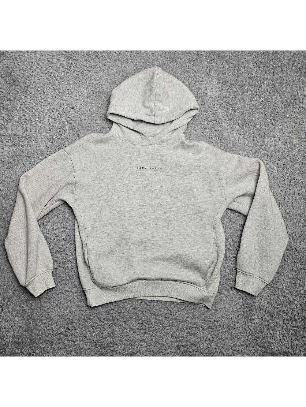 COZY EARTH Hoodie Sweatshirt XS Gray Pullover